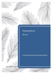 Fotosyntese | Biologirapport