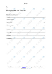Katalase | Biologirapport