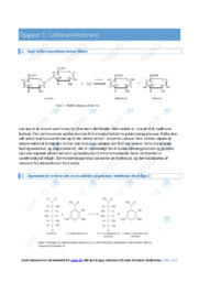 Laktoseintolerant | Bioteknologi