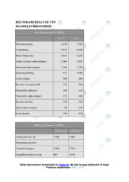 Regnskabsanalyse i en handelsvirksomhed | VØ opgave