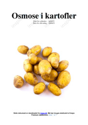 Osmose i kartofler | Rapport