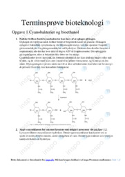 Cyanobakterier og bioethanol | Terminsprøve