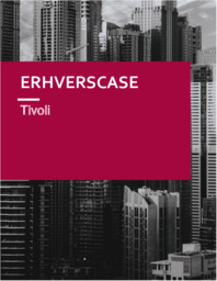 Tivoli | Erhvervscase