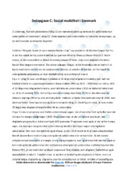 Social mobilitet i Danmark | Undersøgelse og diskussion