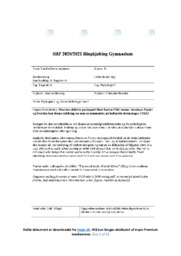 Dyssocial personlighedsforstyrrelser | SRP