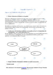 København Skiklub | Analyse