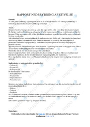Nedbrydning af stivelse | Biologirapport
