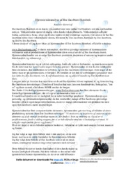 Hjemmesideanalyse | Ilse Jacobsen Hornbæk