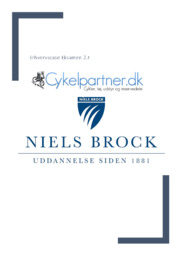 Cykelpartner | Erhvervscase