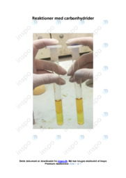 Reaktioner med carbonhydrider | Kemirapport