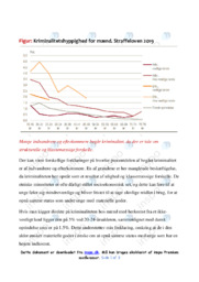 Kriminalitetshyppighed for mænd | Hypoteser i Samfundsfag