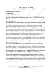 Intern analyse af Matas | VØ opgave