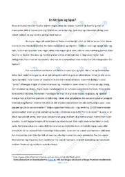 Er Alt Sjov og Spas | Dansk Essay