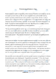 Feminismedebatten i dag | Essay