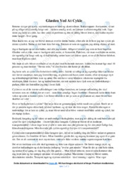 Glæden Ved At Cykle | Essay