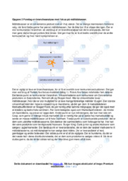 Måltidskasser | Brancheanalyse