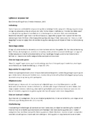 Lykken er at passe ind | Analyse
