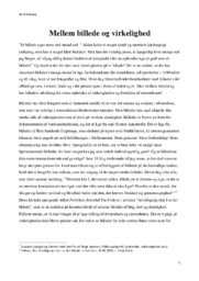 Mellem billede og virkelighed | Essay