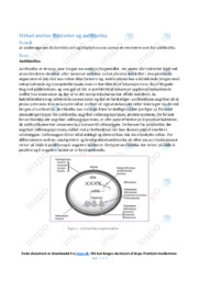 Bakterier og antibiotika | Biologirapport