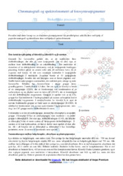 Chromatografi og spektrofotometri | Kemirapport