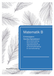 Sandsynlighedsteori | Emneopgave