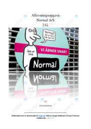 Normal AS | Afsætningsanalyse