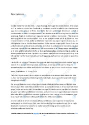 Den lyserøde elefants guide til de sociale medier | Redegørelse