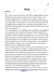 Magt | Samfundsfagsopgave