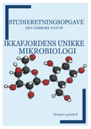 Den sårbare natur | SRO