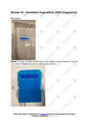 Genetiske fingeraftryk | Biologi