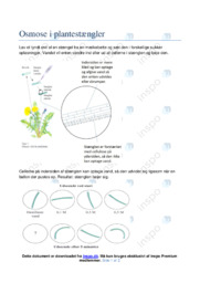 Osmose i plantestængler | Noter Biologi