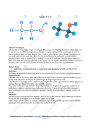 Alkohol i hverdagen | Noter Fysik Rapport