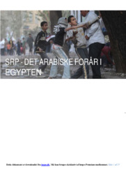 Det Arabiske Forår I Egypten | SRP