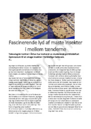 Feature Artikel om temadag | Fascinerende lyd af maste insekter imellem tænderne