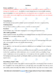 Autofiktion | Noter Analyse