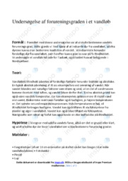 Forureningsgraden i et vandløb | Biologi Rapport