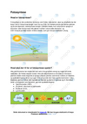 Fotosyntese | Biologi Rapport