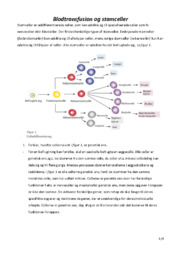 Blodtransfusion og stamceller | Biologi
