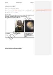 Rapport om Oliens migration (2017-udgaven)