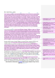 Det vi kalder Berna | Analyse | Martin Kongstad