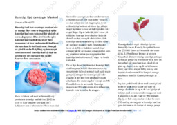 Kunstigt Kød overtager Marked | Noter Debatindlæg