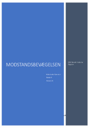 Modstandsbevægelsen | Analyse