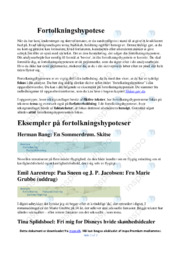 Fortolkningshypotese | Analyse