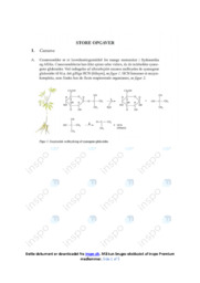 Cassava | Opgave