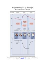 Puls og blodtryk | Opgave