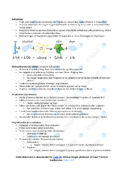Kulhydrater | Noter Biologi