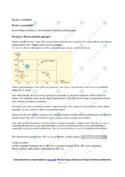 Boston modellen | Bioteknologi Noter