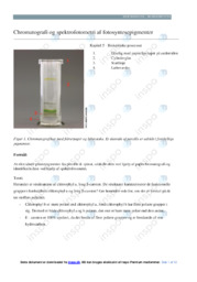 Chromatografi og spektrofotometri | Opgave