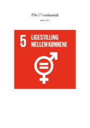 FNs 17 verdensmål | DHO