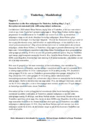 Tinderbox | Musikfestival | Analyse